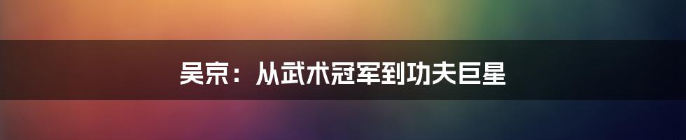 吴京：从武术冠军到功夫巨星