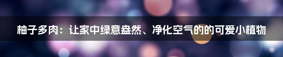 柚子多肉：让家中绿意盎然、净化空气的的可爱小植物