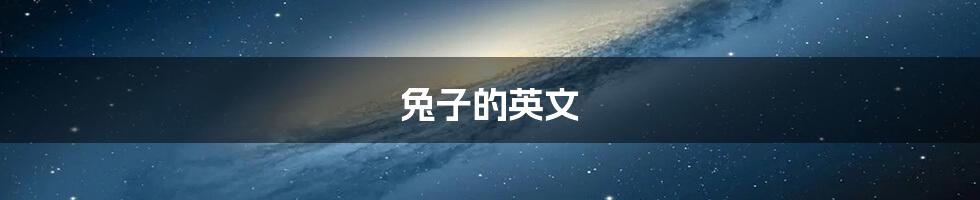 兔子的英文