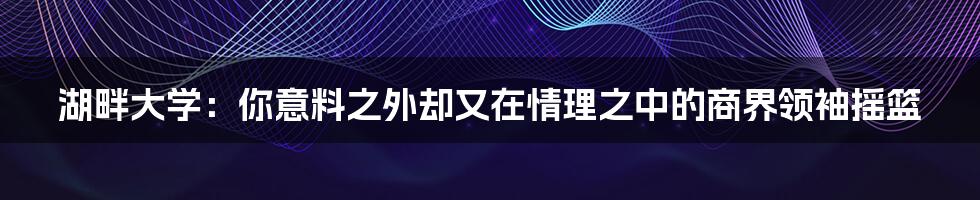 湖畔大学：你意料之外却又在情理之中的商界领袖摇篮