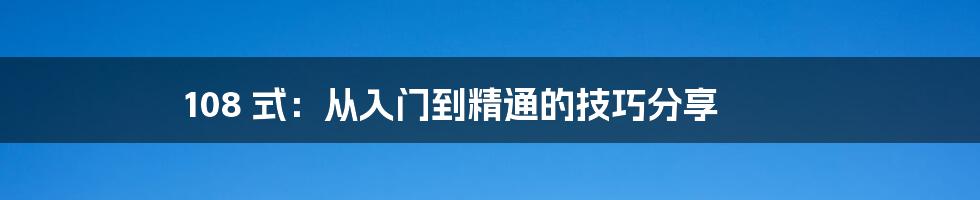 108 式：从入门到精通的技巧分享