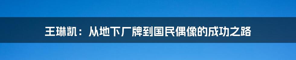 王琳凯：从地下厂牌到国民偶像的成功之路