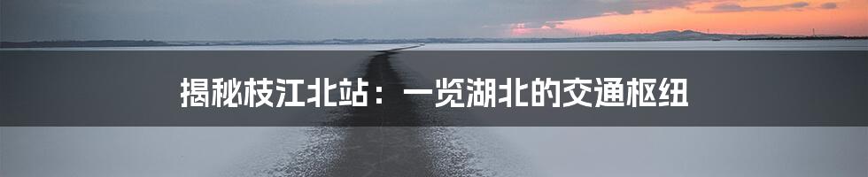 揭秘枝江北站：一览湖北的交通枢纽