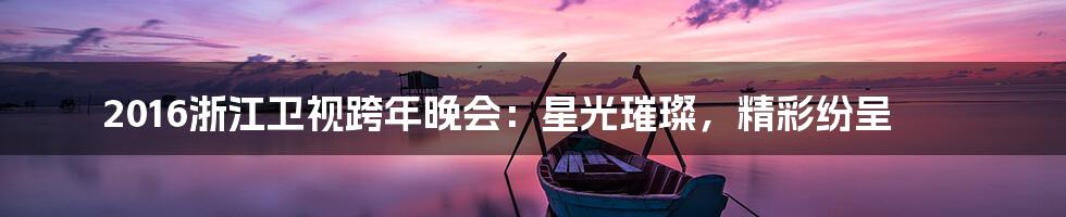 2016浙江卫视跨年晚会：星光璀璨，精彩纷呈