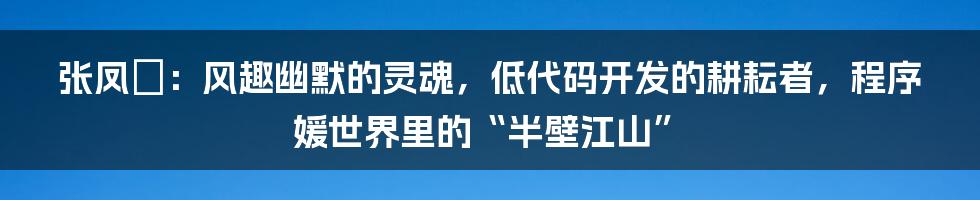 张凤翙：风趣幽默的灵魂，低代码开发的耕耘者，程序媛世界里的“半壁江山”