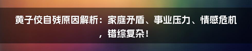 黄子佼自残原因解析：家庭矛盾、事业压力、情感危机，错综复杂！