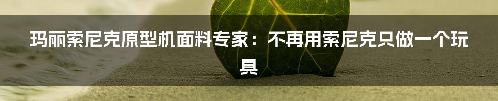 玛丽索尼克原型机面料专家：不再用索尼克只做一个玩具