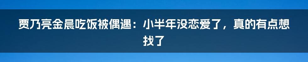 贾乃亮金晨吃饭被偶遇：小半年没恋爱了，真的有点想找了