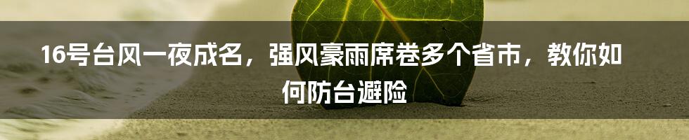 16号台风一夜成名，强风豪雨席卷多个省市，教你如何防台避险