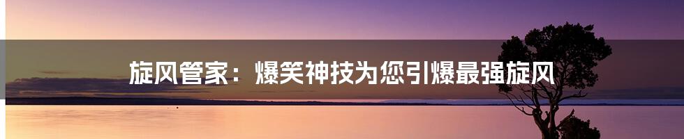 旋风管家：爆笑神技为您引爆最强旋风