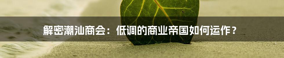 解密潮汕商会：低调的商业帝国如何运作？