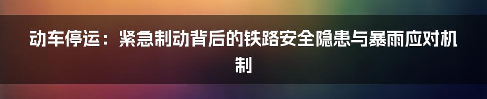 动车停运：紧急制动背后的铁路安全隐患与暴雨应对机制