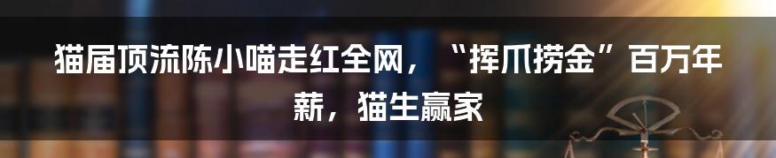 猫届顶流陈小喵走红全网，“挥爪捞金”百万年薪，猫生赢家