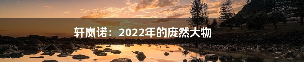 轩岚诺：2022年的庞然大物