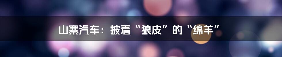 山寨汽车：披着“狼皮”的“绵羊”