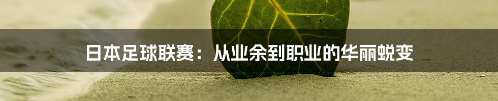 日本足球联赛：从业余到职业的华丽蜕变