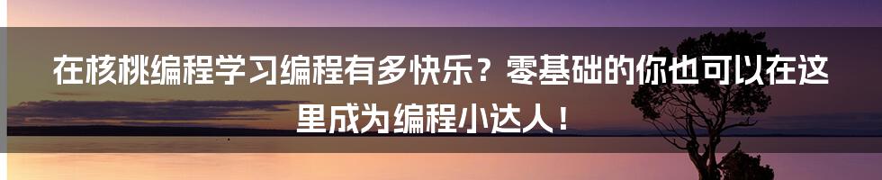 在核桃编程学习编程有多快乐？零基础的你也可以在这里成为编程小达人！