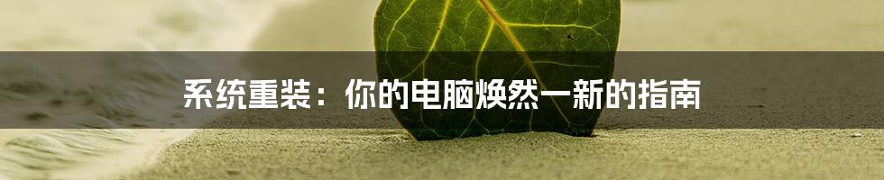 系统重装：你的电脑焕然一新的指南