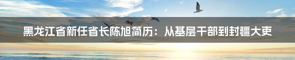 黑龙江省新任省长陈旭简历：从基层干部到封疆大吏