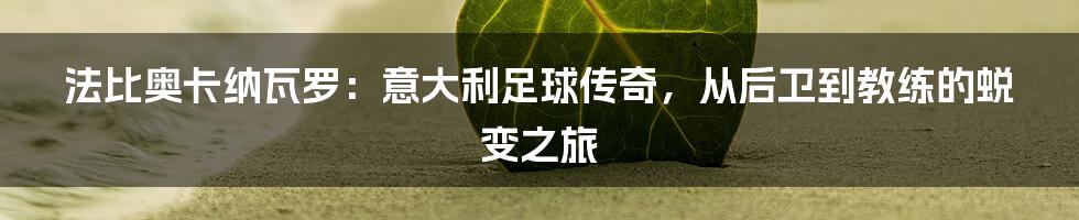 法比奥卡纳瓦罗：意大利足球传奇，从后卫到教练的蜕变之旅