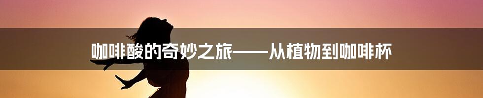 咖啡酸的奇妙之旅——从植物到咖啡杯