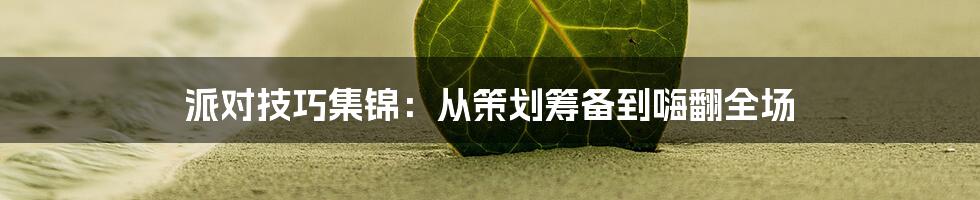 派对技巧集锦：从策划筹备到嗨翻全场