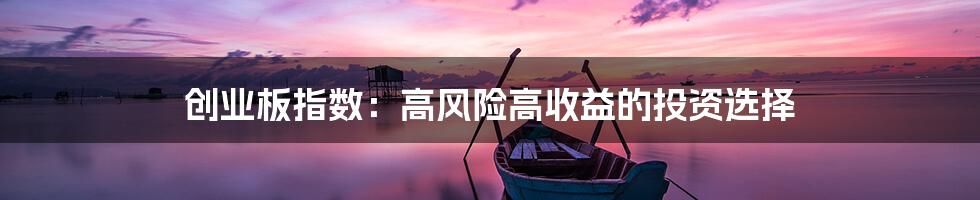 创业板指数：高风险高收益的投资选择