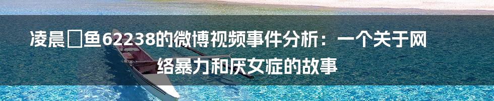 凌晨の鱼62238的微博视频事件分析：一个关于网络暴力和厌女症的故事