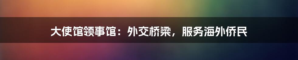 大使馆领事馆：外交桥梁，服务海外侨民