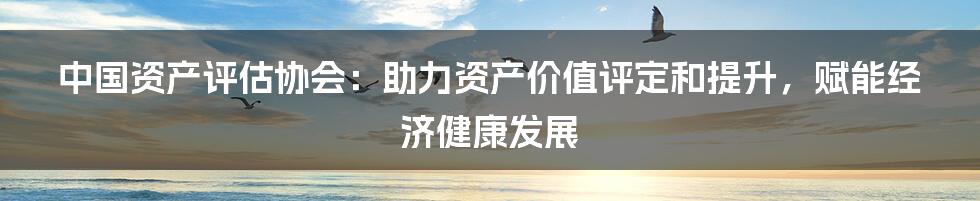 中国资产评估协会：助力资产价值评定和提升，赋能经济健康发展