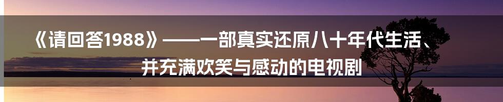 《请回答1988》——一部真实还原八十年代生活、并充满欢笑与感动的电视剧