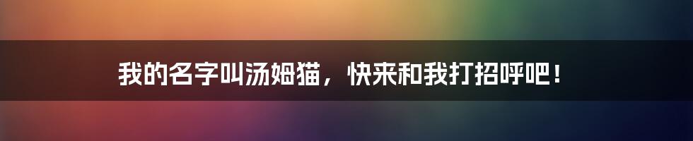 我的名字叫汤姆猫，快来和我打招呼吧！