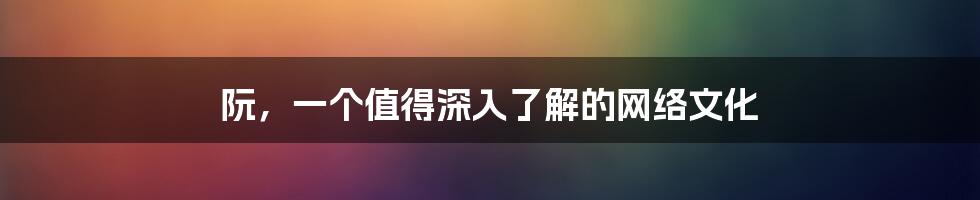 阮，一个值得深入了解的网络文化