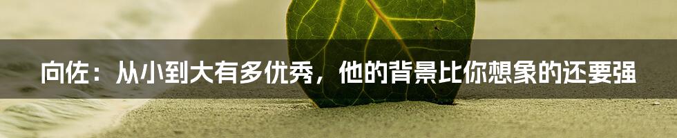 向佐：从小到大有多优秀，他的背景比你想象的还要强