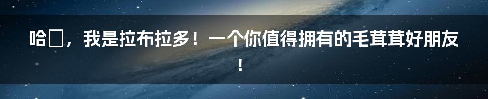 哈啰，我是拉布拉多！一个你值得拥有的毛茸茸好朋友！