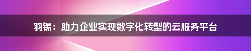 羽锡：助力企业实现数字化转型的云服务平台