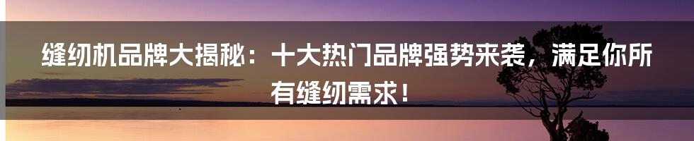 缝纫机品牌大揭秘：十大热门品牌强势来袭，满足你所有缝纫需求！