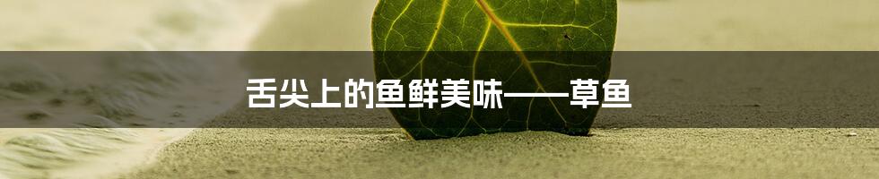 舌尖上的鱼鲜美味——草鱼