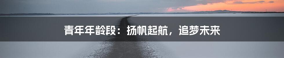 青年年龄段：扬帆起航，追梦未来