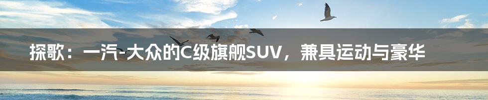 探歌：一汽-大众的C级旗舰SUV，兼具运动与豪华