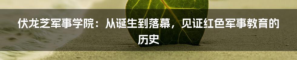 伏龙芝军事学院：从诞生到落幕，见证红色军事教育的历史