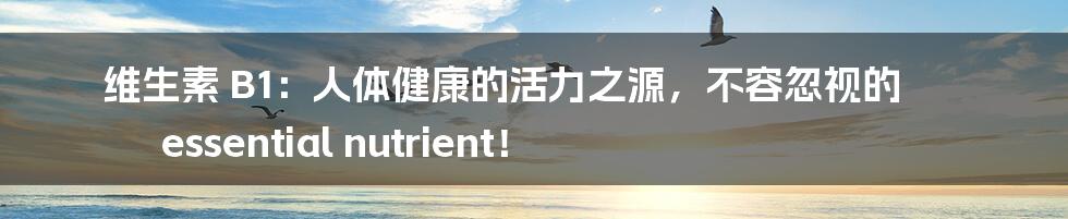 维生素 B1：人体健康的活力之源，不容忽视的 essential nutrient！