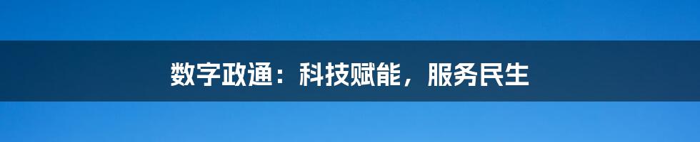 数字政通：科技赋能，服务民生