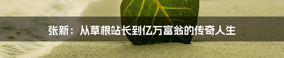 张新：从草根站长到亿万富翁的传奇人生