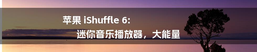 苹果 iShuffle 6: 迷你音乐播放器，大能量