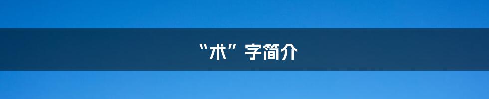 “术”字简介