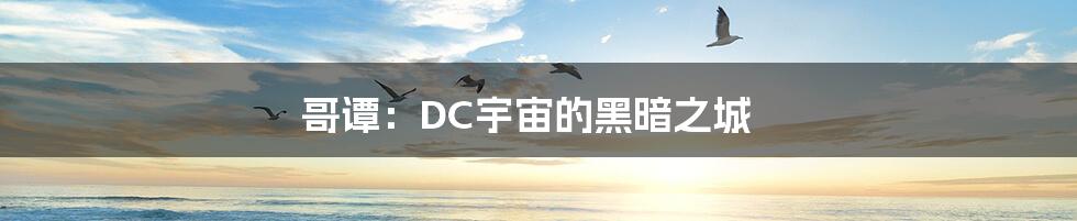 哥谭：DC宇宙的黑暗之城