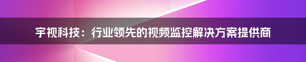 宇视科技：行业领先的视频监控解决方案提供商