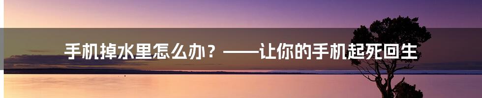 手机掉水里怎么办？——让你的手机起死回生