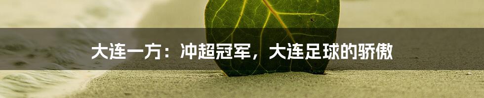 大连一方：冲超冠军，大连足球的骄傲